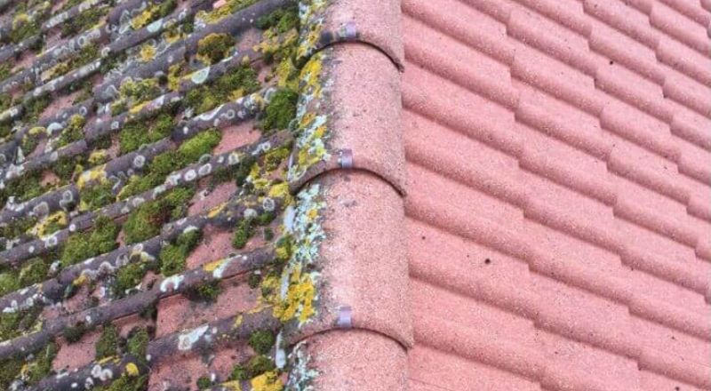 Nettoyage et démoussage de toiture à Beauvais