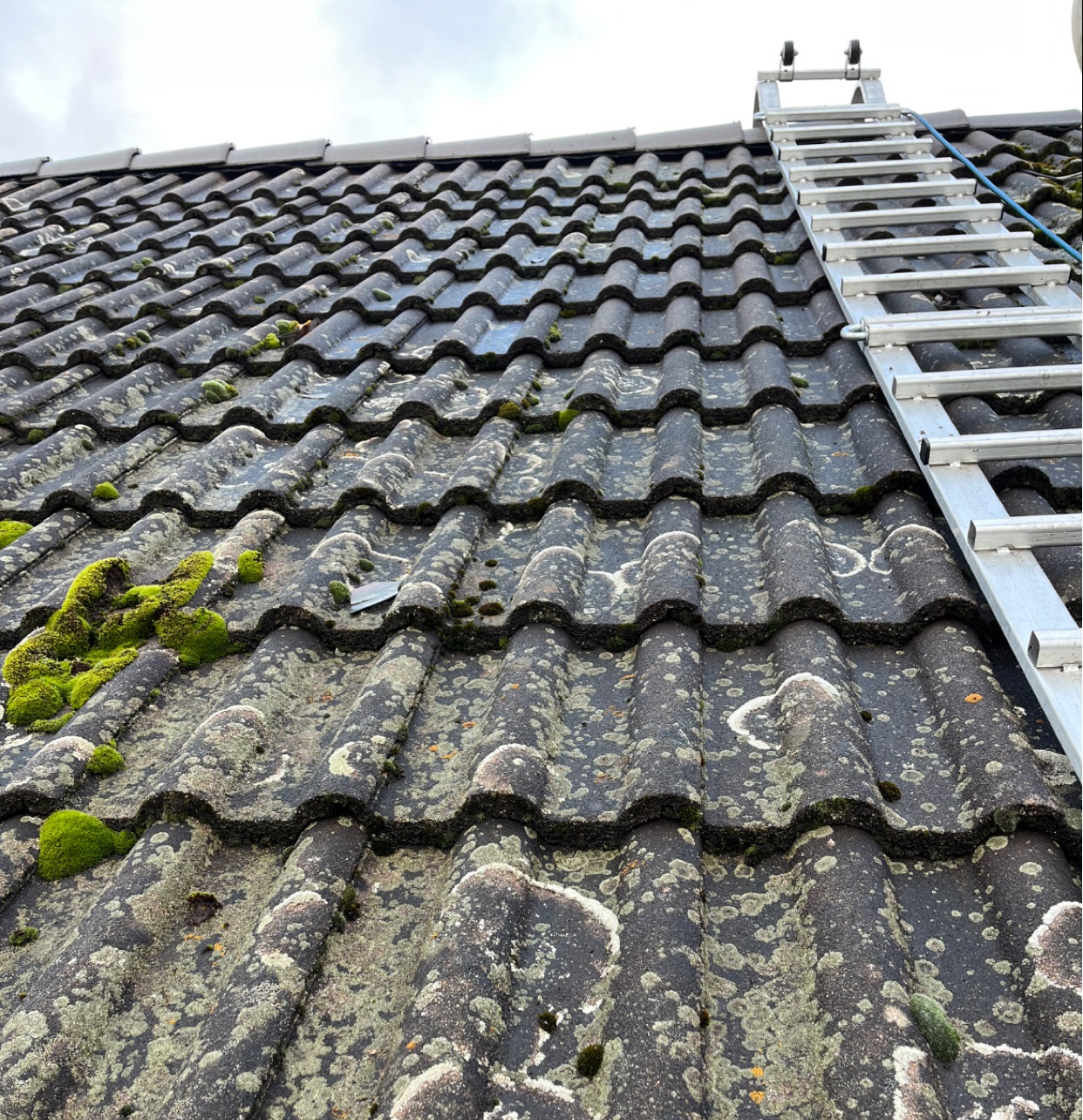 Traitement hydrofuge de toiture à Beauvais